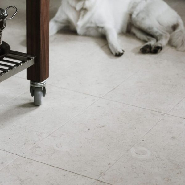 vit hund som ligger på krämfärgat finslipat kalkstensgolv