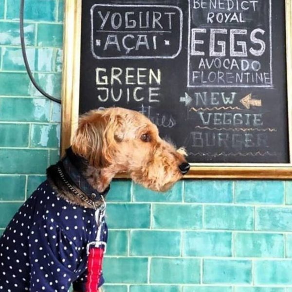 handgjort turkost kakel på vägg